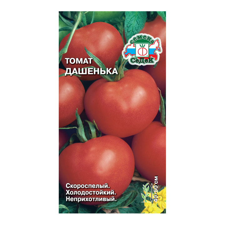 ДАШЕНЬКА
