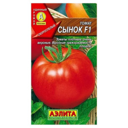 СЫНОК