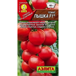 ПЫШКА