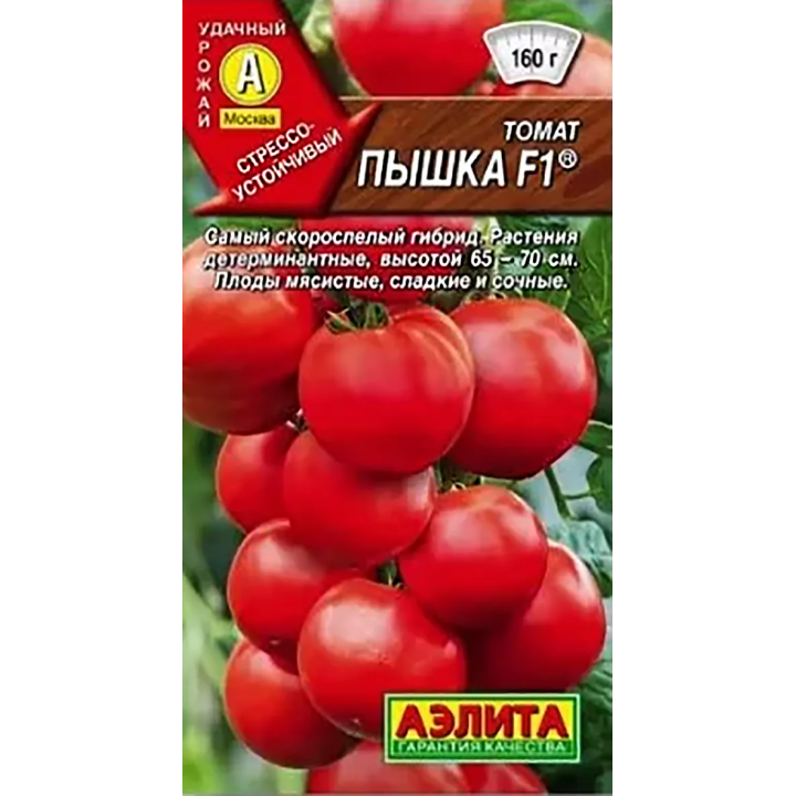 ПЫШКА