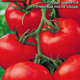 СУЗДАЛЬ