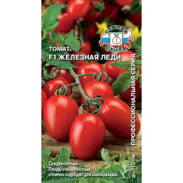 ЖЕЛЕЗНАЯ ЛЕДИ