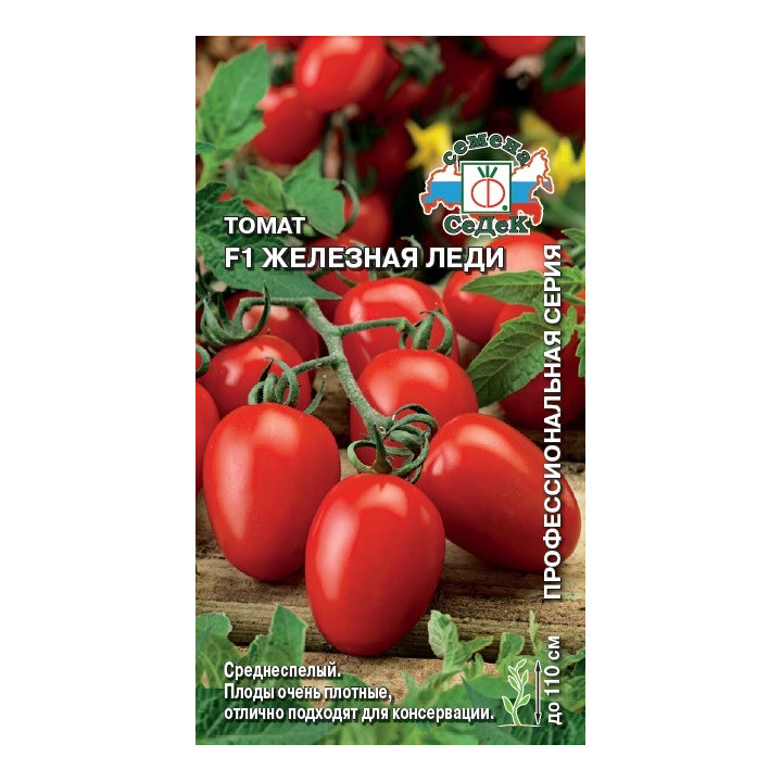ЖЕЛЕЗНАЯ ЛЕДИ