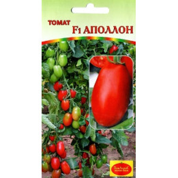 АПОЛЛОН