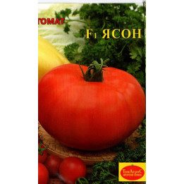 ЯСОН