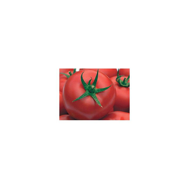 ЦЮРУПИНСКИЙ