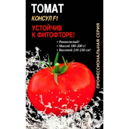 КОНСУЛ