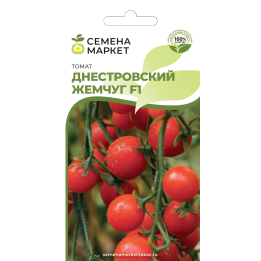 ДНЕСТРОВСКИЙ ЖЕМЧУГ