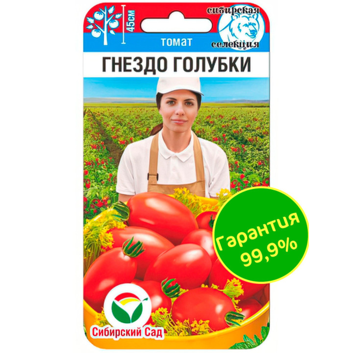 ГОЛУБЧИК