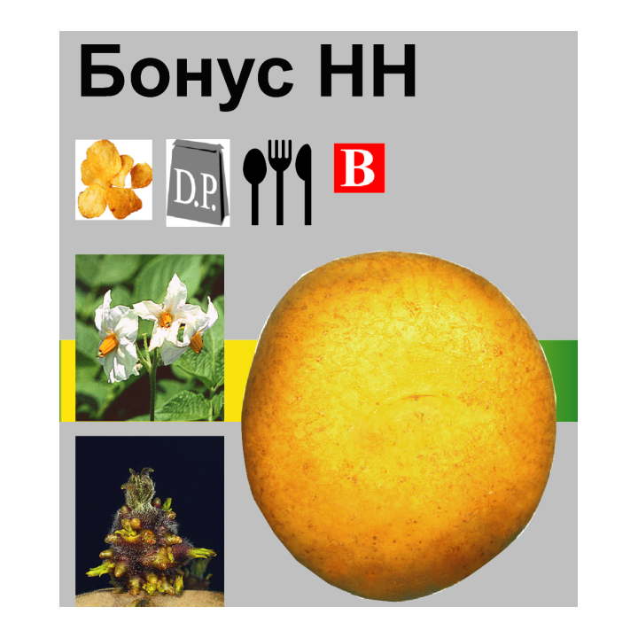 Бонус / Bonus