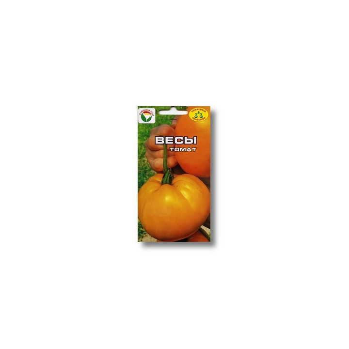 СОЗВЕЗДИЕ ВЕСОВ