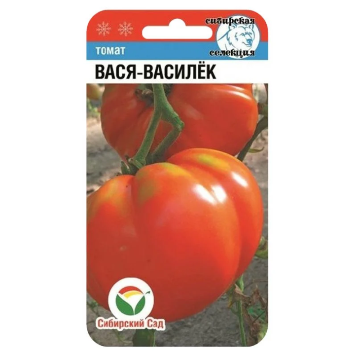 ВАСЯ-ВАСИЛЕК