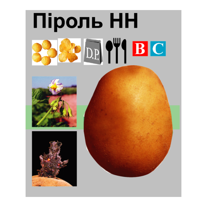 Пироль / Pirol
