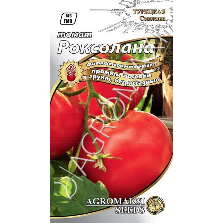 РОКСАЛАНА