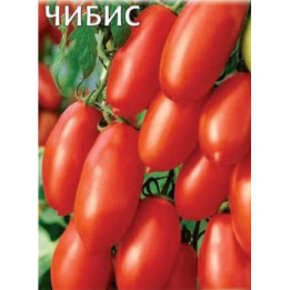 ЧИБИС