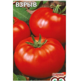 ВЗРЫВ