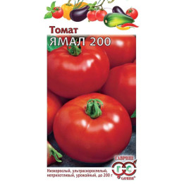 ЯМАЛ 200