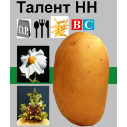 Талент / Talent