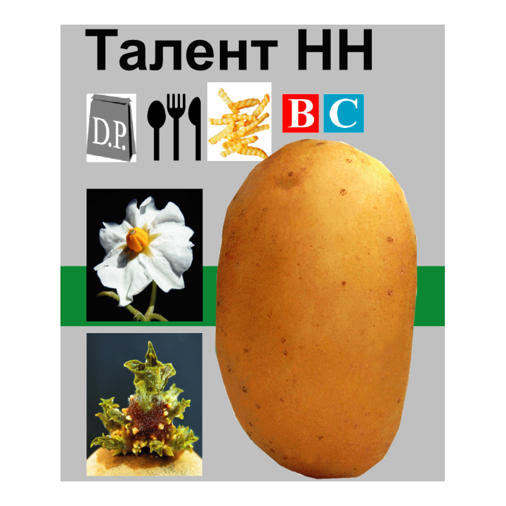 Талент / Talent