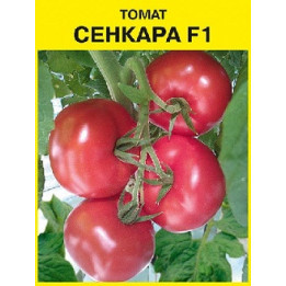 СЕНКАРА