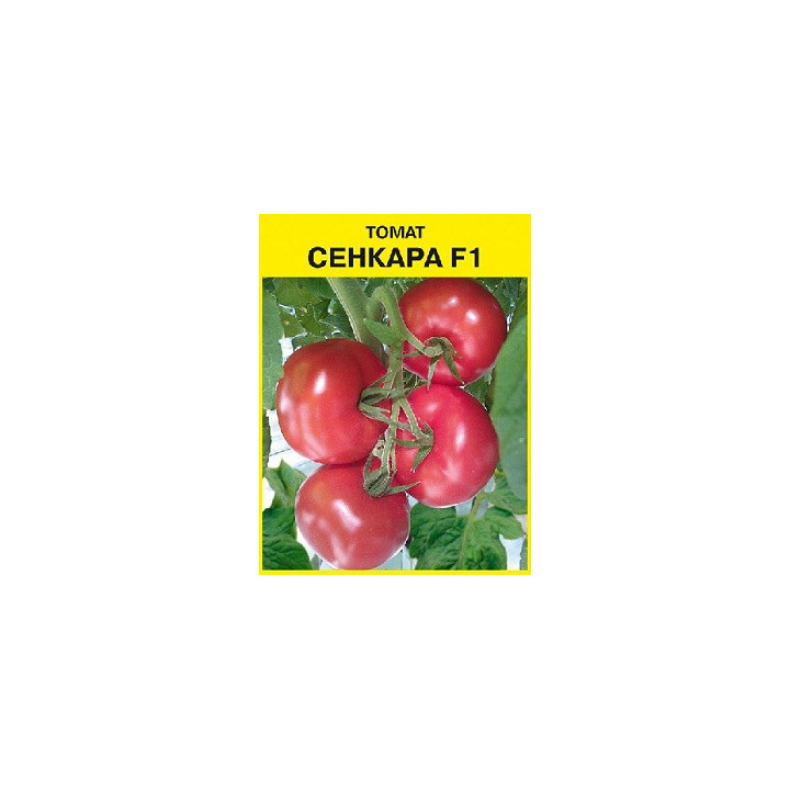 СЕНКАРА