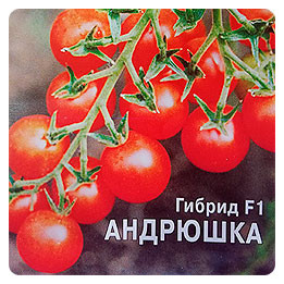 АНДРЮШКА