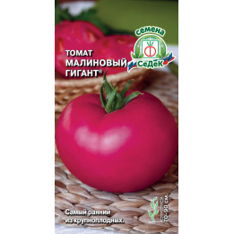 МАЛИНОВЫЙ ГИГАНТ