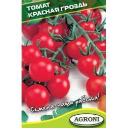 КРАСНАЯ ГРОЗДЬ