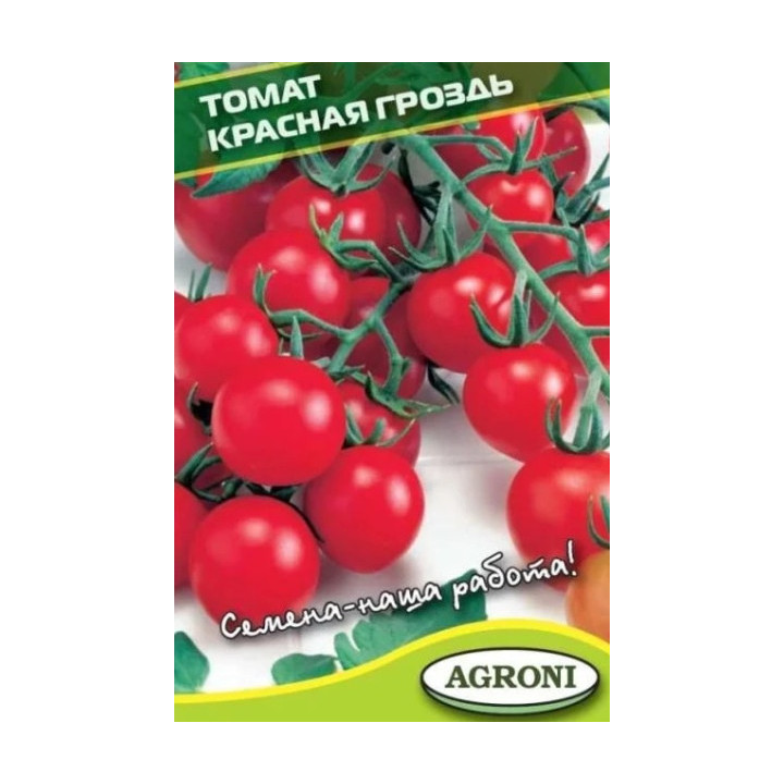 КРАСНАЯ ГРОЗДЬ