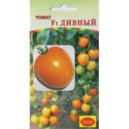 ДИВНЫЙ