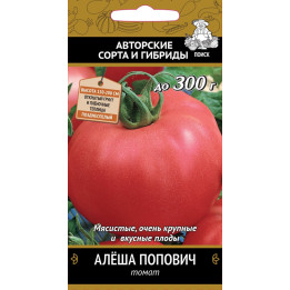 АЛЕША ПОПОВИЧ