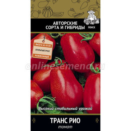 ТРАНС РИО