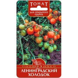 ЛЕНИНГРАДСКИЙ ХОЛОДОК
