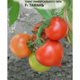 ТАМАНЬ