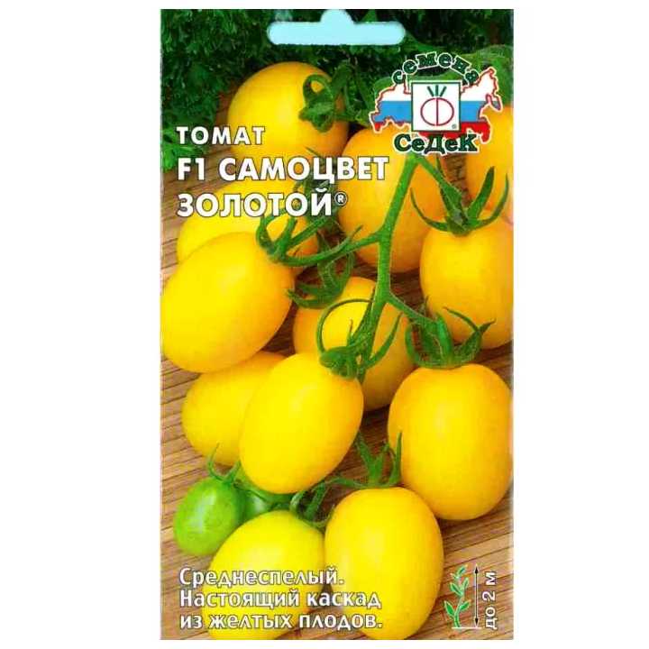 САМОЦВЕТ ЗОЛОТОЙ
