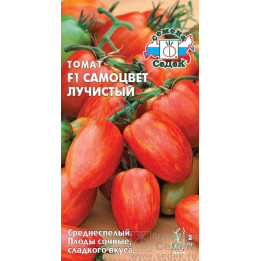 САМОЦВЕТ ЛУЧИСТЫЙ