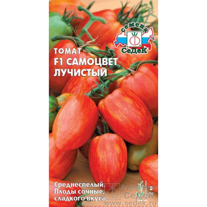 САМОЦВЕТ ЛУЧИСТЫЙ