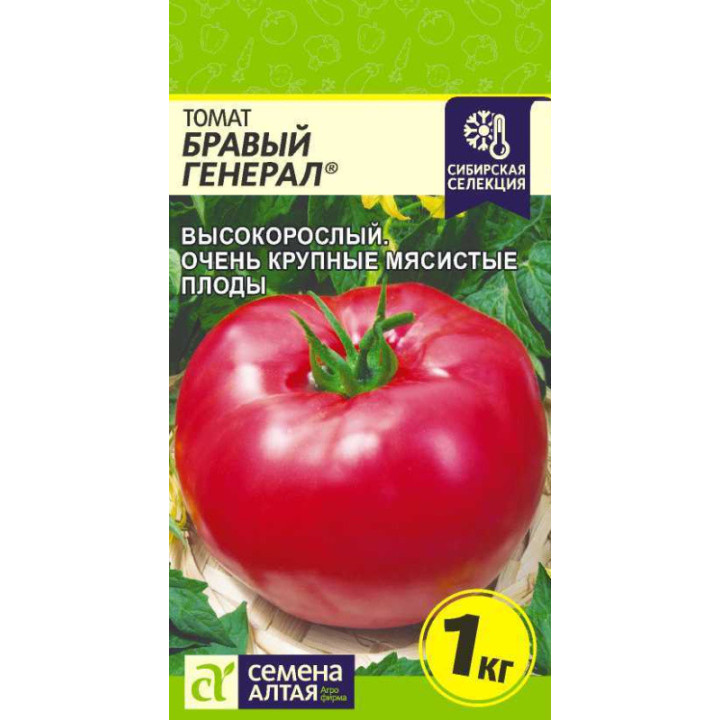 БРАВЫЙ ГЕНЕРАЛ