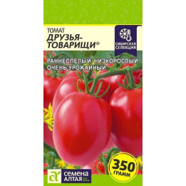 ДРУЗЬЯ-ТОВАРИЩИ