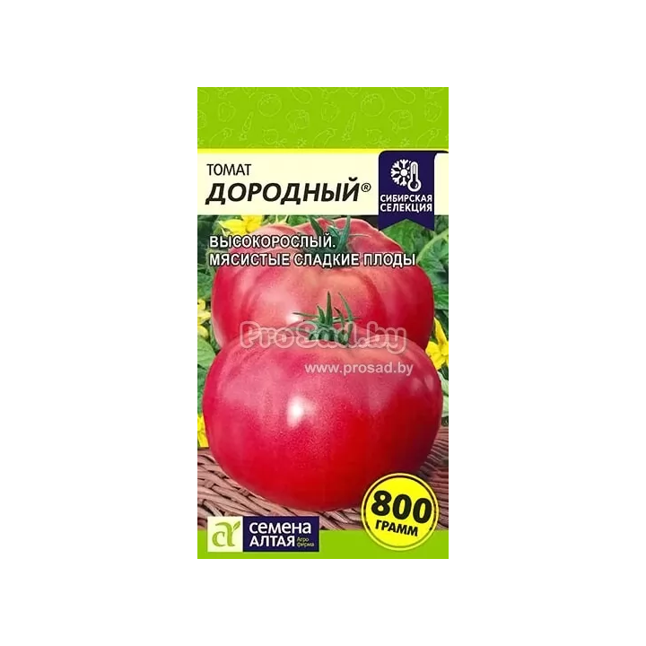 ДОРОДНЫЙ