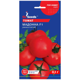 МАДОННА