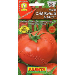 СНЕЖНЫЙ БАРС