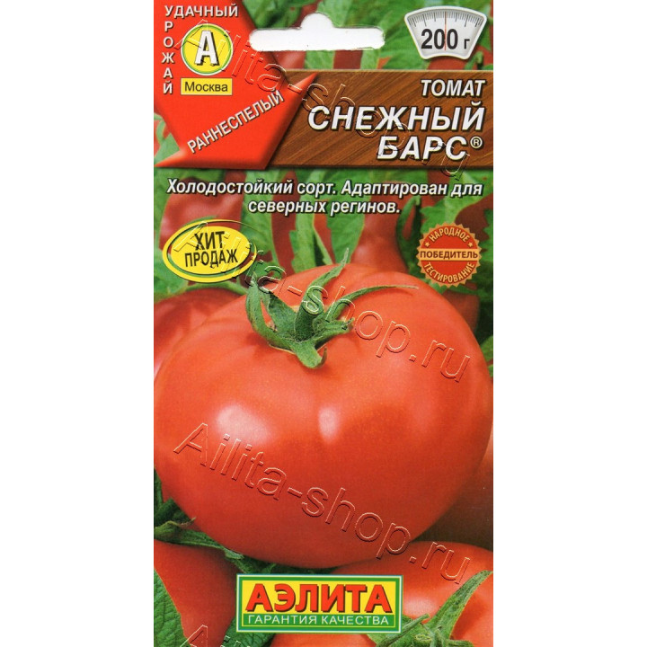 СНЕЖНЫЙ БАРС