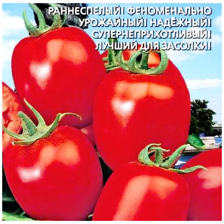 ПЕТРОВСКИЙ
