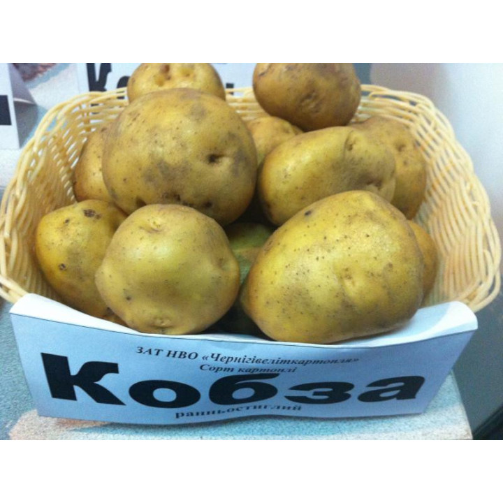 Кобза