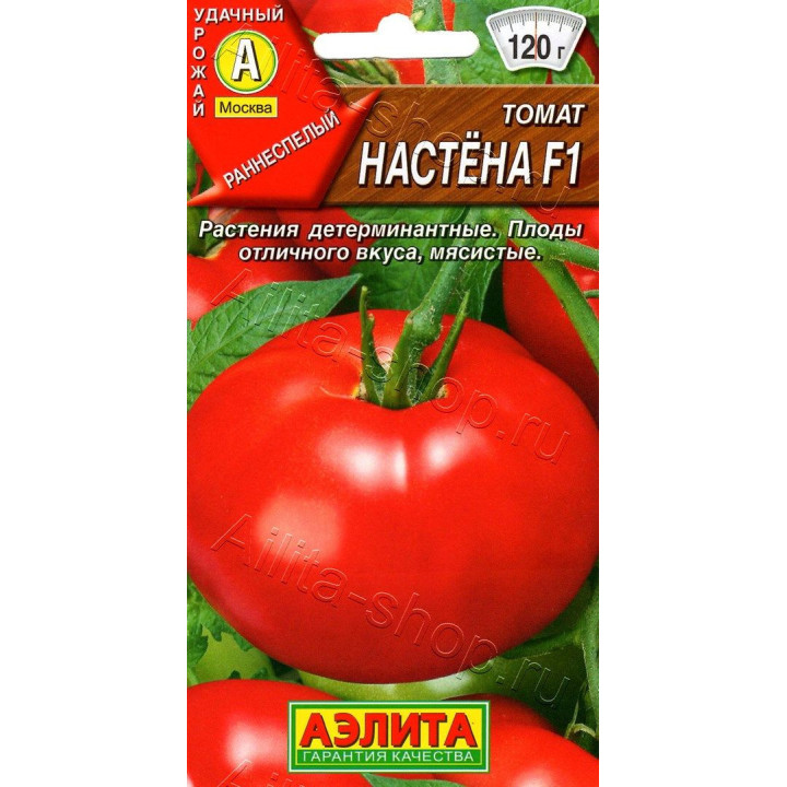 НАСТЁНА