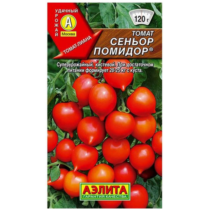СЕНЬОР