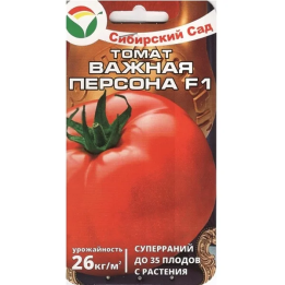 ВАЖНАЯ ПЕРСОНА