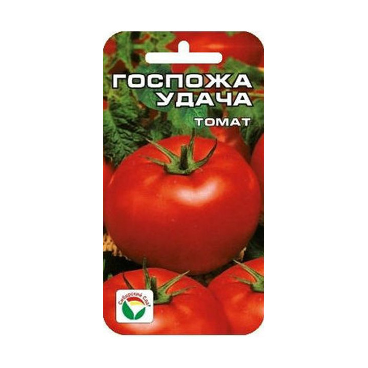 УДАЧА