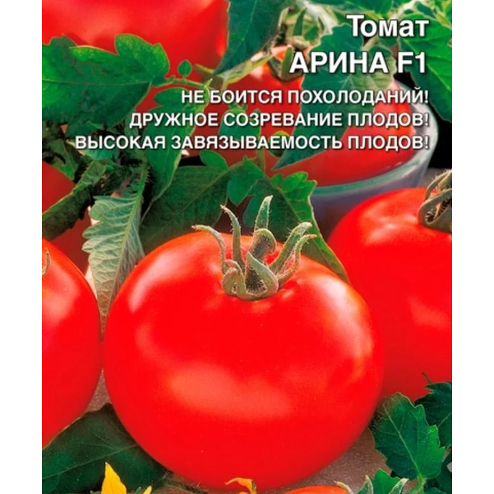 АРИНА